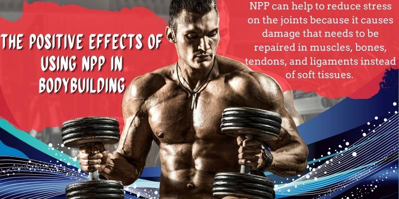 THE POSITIVE EFFECTS OF USING NPP IN BODYBUILDING